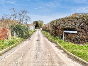 THE CONIFERS- click for photo gallery